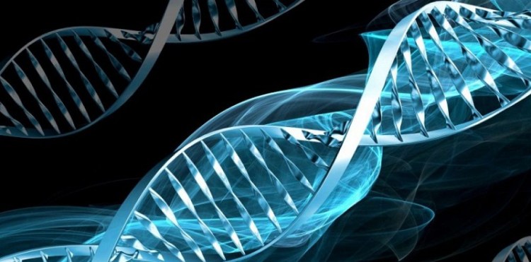 Epigénétique: les expériences transmises dans nos&nbsp;gènes