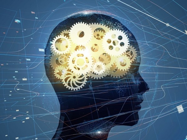 Théorie du décodage&nbsp;biologique