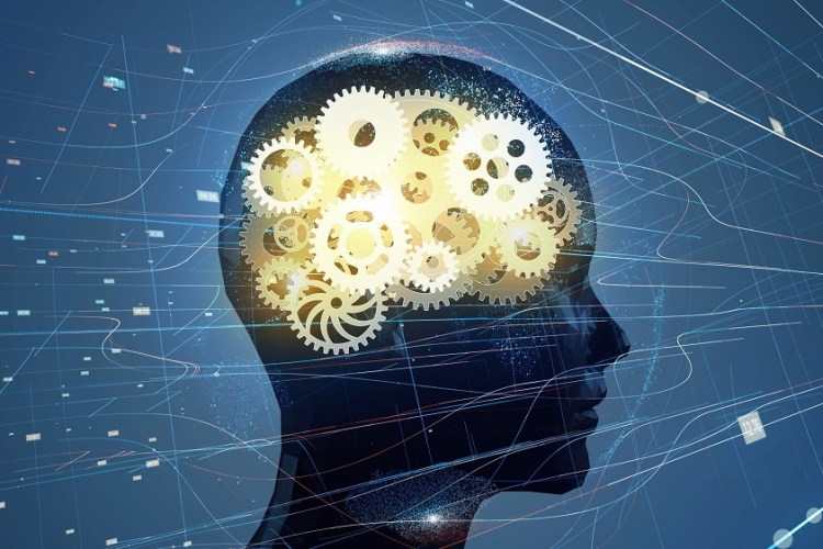 Théorie du décodage&nbsp;biologique