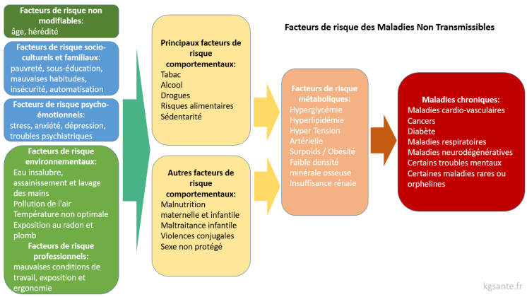 Facteurs de risque et prévention des maladies chroniques: nous avons un ...