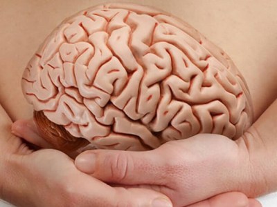 Le ventre, notre &laquo;&nbsp;deuxième cerveau&nbsp;&raquo;